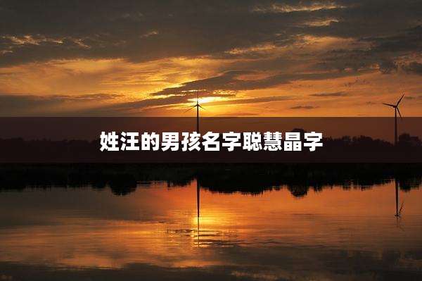 姓汪的男孩名字聪慧晶字