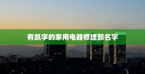 有凯字的家用电器修理部名字