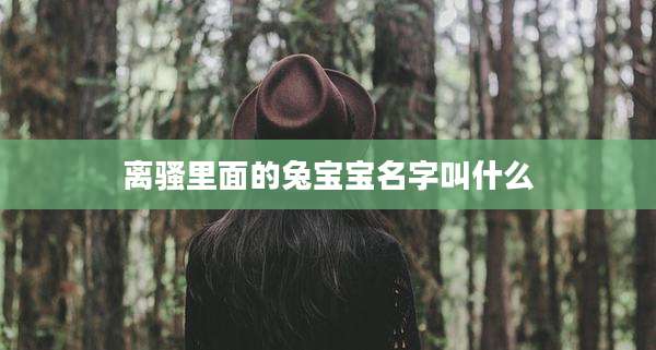 离骚里面的兔宝宝名字叫什么