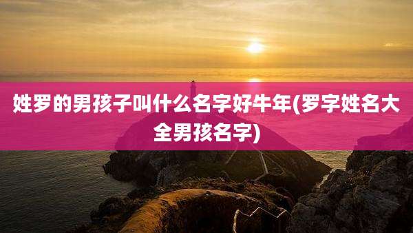 姓罗的男孩子叫什么名字好牛年(罗字姓名大全男孩名字)