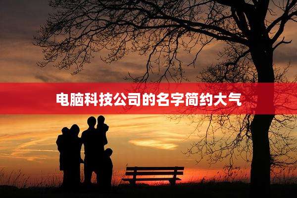 电脑科技公司的名字简约大气