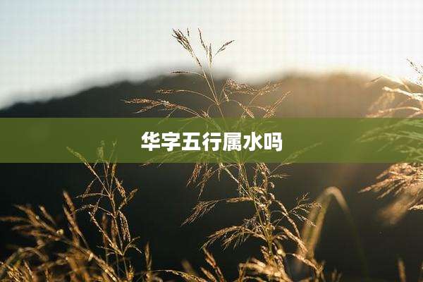 华字五行属水吗