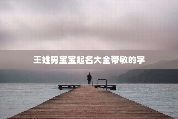 王姓男宝宝起名大全带敏的字