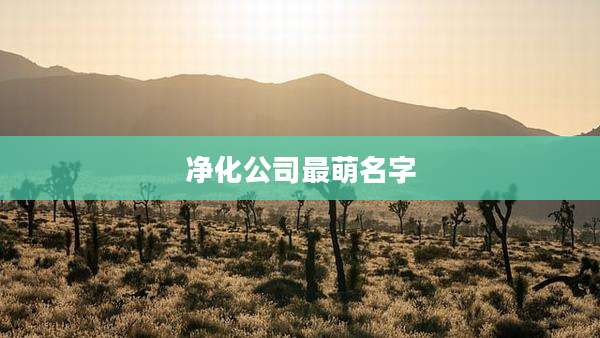 净化公司最萌名字