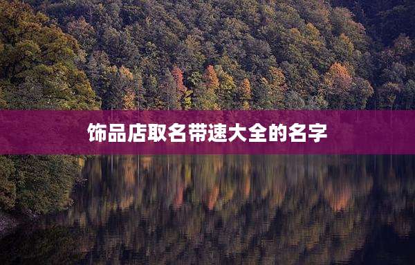 饰品店取名带速大全的名字