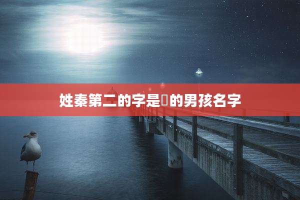姓秦第二的字是玥的男孩名字