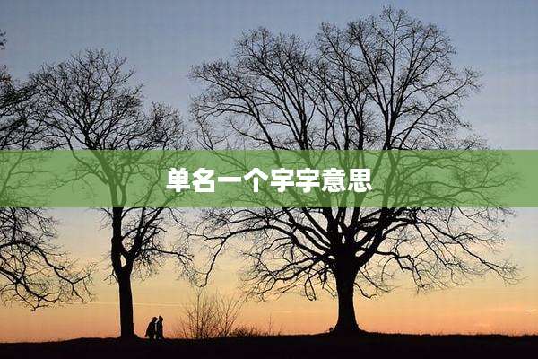 单名一个宇字意思
