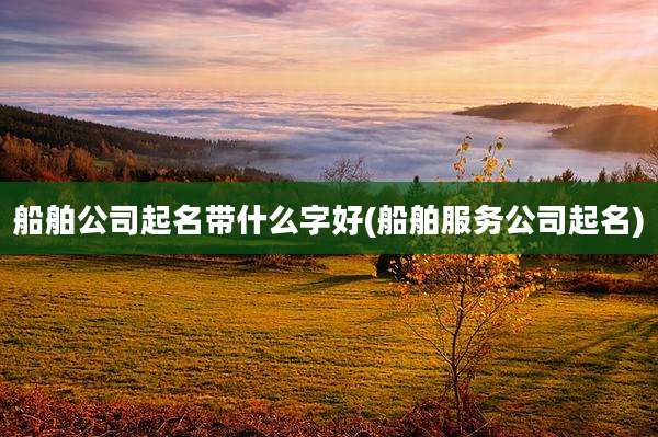 船舶公司起名带什么字好(船舶服务公司起名)