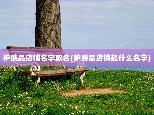 护肤品店铺名字取名(护肤品店铺起什么名字)