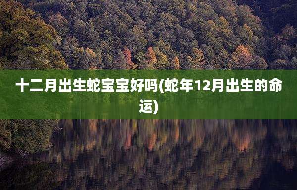 十二月出生蛇宝宝好吗(蛇年12月出生的命运)
