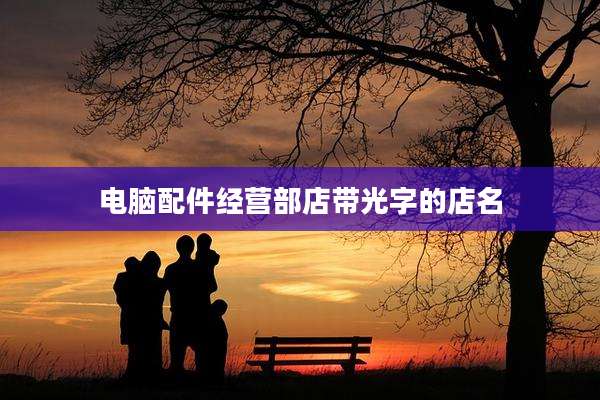 电脑配件经营部店带光字的店名