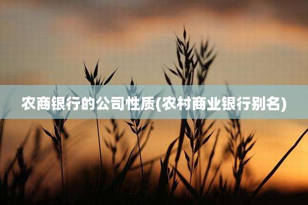农商银行的公司性质(农村商业银行别名)