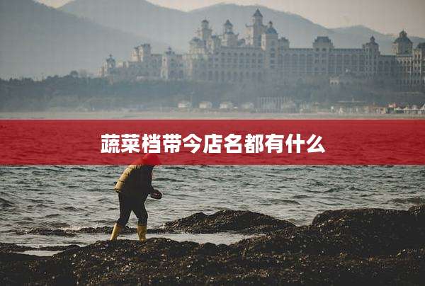 蔬菜档带今店名都有什么