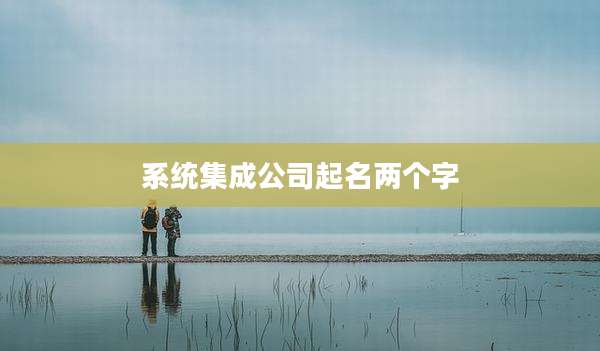 系统集成公司起名两个字