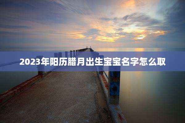 2023年阳历腊月出生宝宝名字怎么取