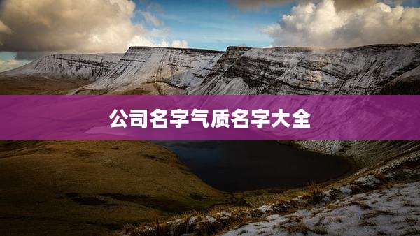 公司名字气质名字大全