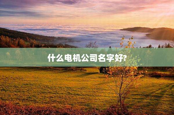 什么电机公司名字好?