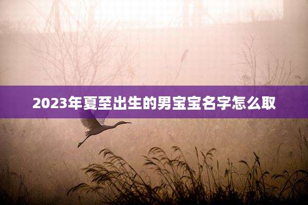 2023年夏至出生的男宝宝名字怎么取