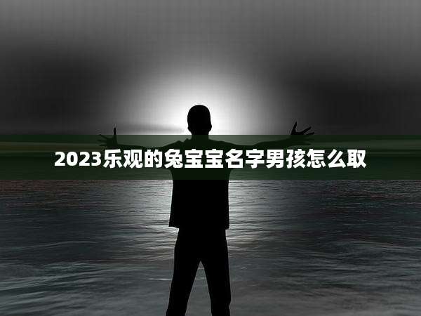 2023乐观的兔宝宝名字男孩怎么取