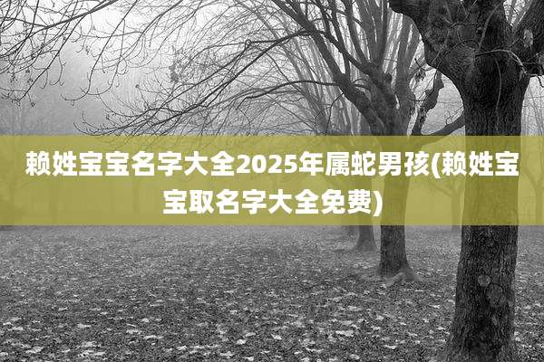 赖姓宝宝名字大全2025年属蛇男孩(赖姓宝宝取名字大全免费)