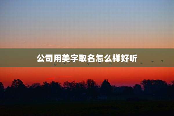 公司用美字取名怎么样好听