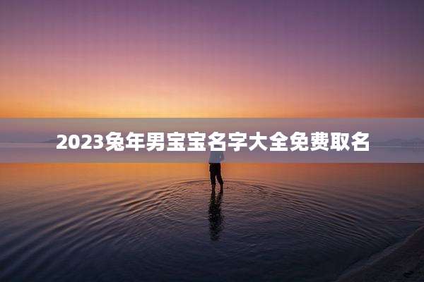 2023兔年男宝宝名字大全免费取名