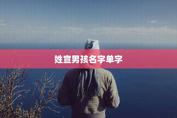 姓宣男孩名字单字