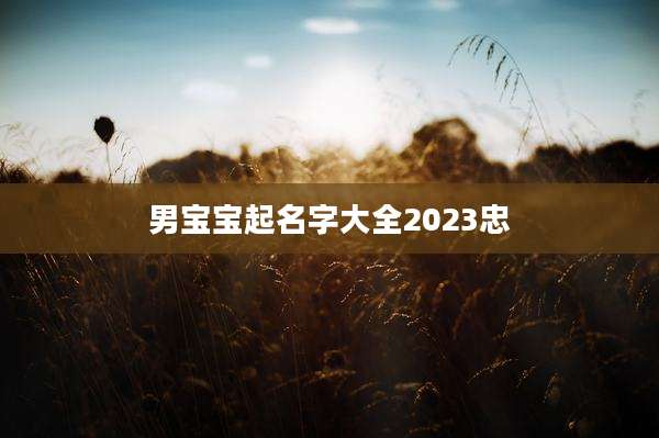 男宝宝起名字大全2023忠