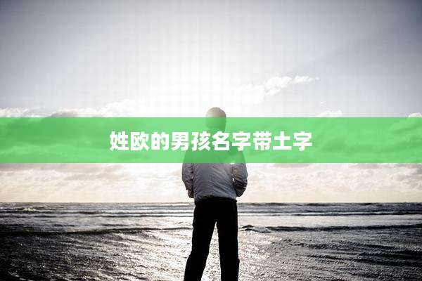 姓欧的男孩名字带土字