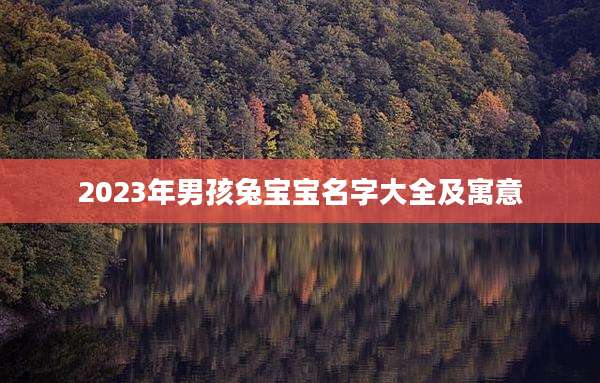 2023年男孩兔宝宝名字大全及寓意