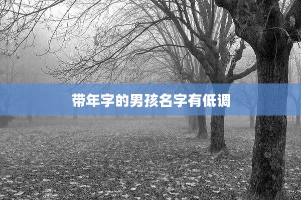 带年字的男孩名字有低调