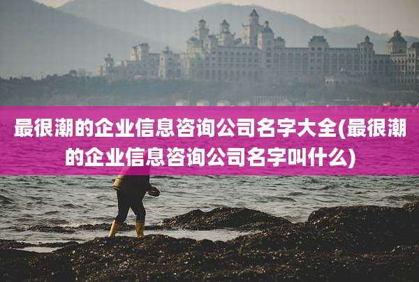 最很潮的企业信息咨询公司名字大全(最很潮的企业信息咨询公司名字叫什么)
