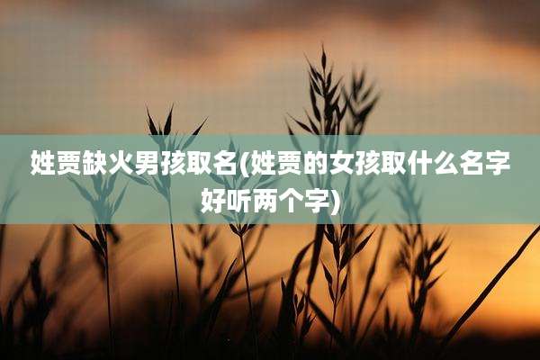 姓贾缺火男孩取名(姓贾的女孩取什么名字好听两个字)