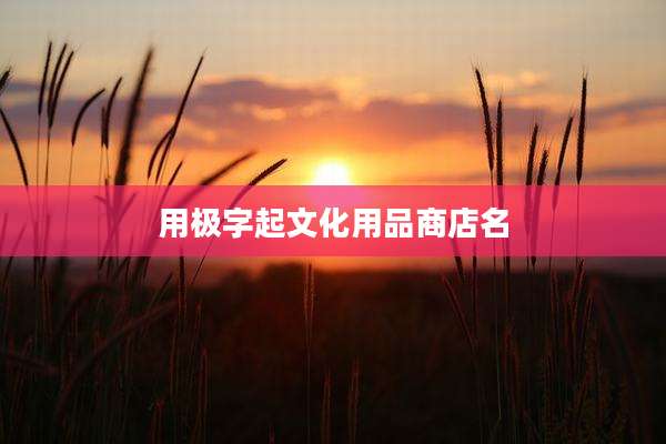 用极字起文化用品商店名