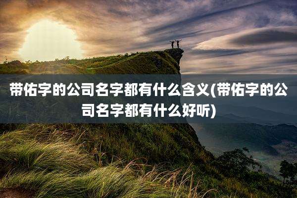 带佑字的公司名字都有什么含义(带佑字的公司名字都有什么好听)