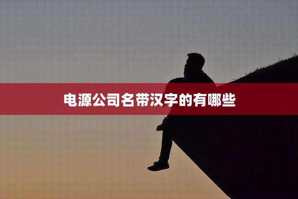 电源公司名带汉字的有哪些