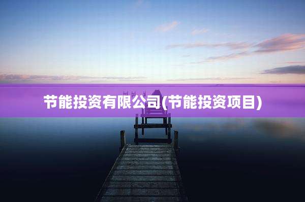 节能投资有限公司(节能投资项目)