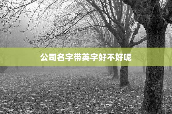 公司名字带英字好不好呢