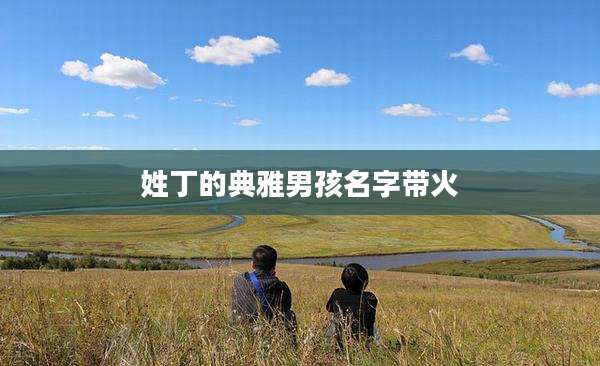 姓丁的典雅男孩名字带火