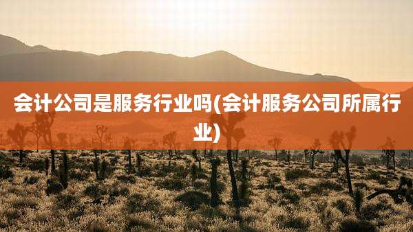 会计公司是服务行业吗(会计服务公司所属行业)