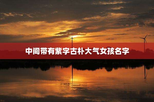 中间带有紫字古朴大气女孩名字
