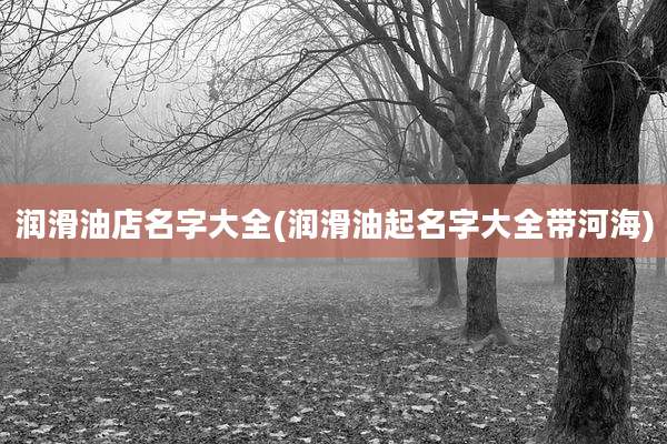润滑油店名字大全(润滑油起名字大全带河海)