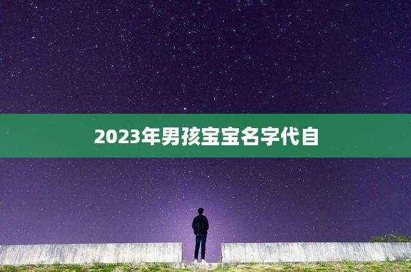2023年男孩宝宝名字代自