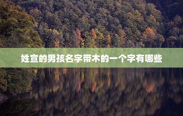 姓宣的男孩名字带木的一个字有哪些