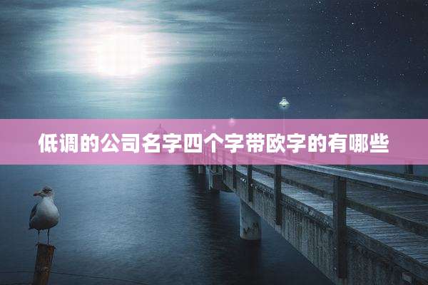 低调的公司名字四个字带欧字的有哪些