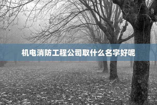机电消防工程公司取什么名字好呢