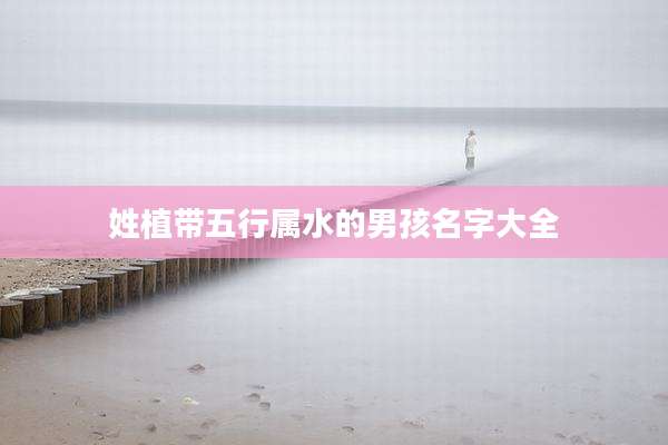 姓植带五行属水的男孩名字大全