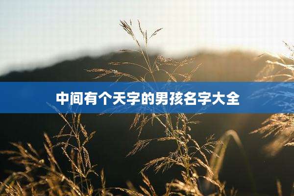 中间有个天字的男孩名字大全