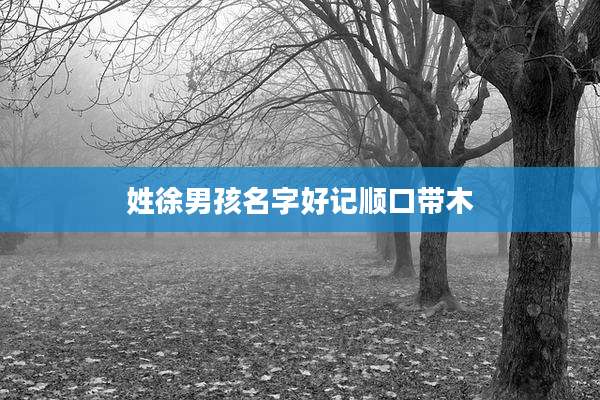 姓徐男孩名字好记顺口带木
