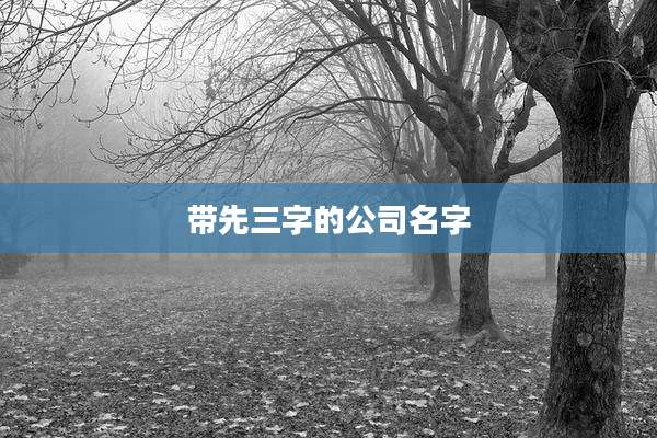 带先三字的公司名字